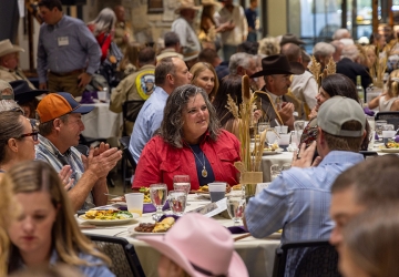 brad-christensen-9325